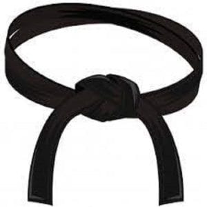 LEAN Black Belt - online training - NL