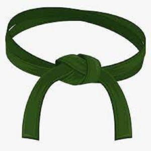 LEAN Green Belt - Online training NL